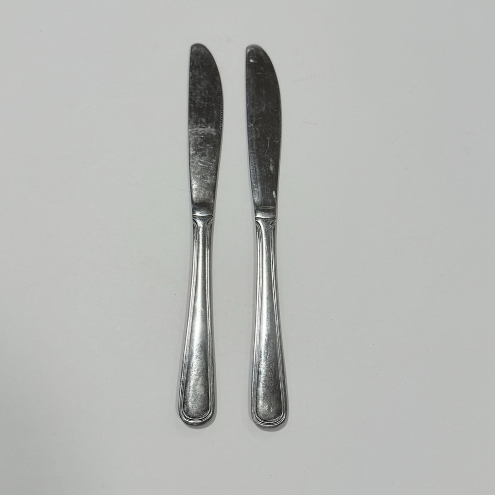 Pfaltzgraff Set Of 2 Dinner Knives Radiants ** Discontinued Flatware Pattern ***